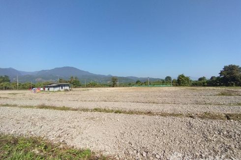 Land for sale in Mae Sun, Chiang Mai
