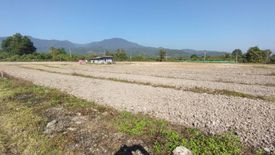 Land for sale in Mae Sun, Chiang Mai