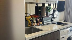 1 Bedroom Condo for rent in Park Origin Thonglor, Khlong Tan Nuea, Bangkok