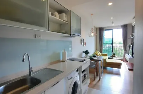 1 Bedroom Condo for rent in The Astra Condominium Chiangmai, Chang Khlan, Chiang Mai