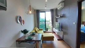 1 Bedroom Condo for rent in The Astra Condominium Chiangmai, Chang Khlan, Chiang Mai