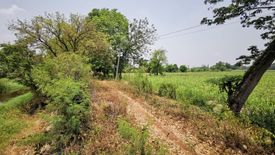 1 Bedroom Land for sale in Ko Kaeo, Lopburi
