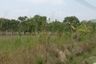 1 Bedroom Land for sale in Mueang, Chonburi