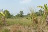 1 Bedroom Land for sale in Mueang, Chonburi