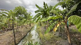 1 Bedroom Land for sale in Bang Yai, Nonthaburi