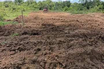 Land for sale in Phichai, Lampang