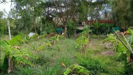 Land for sale in Phichai, Lampang