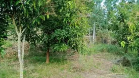 Land for sale in Phichai, Lampang