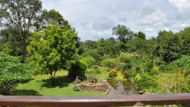 Land for sale in Tha Uthen, Nakhon Phanom