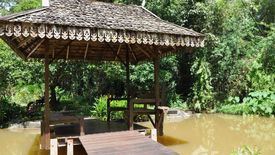 Land for sale in Tha Uthen, Nakhon Phanom