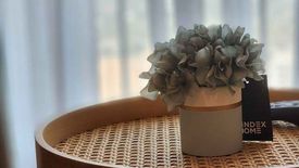 2 Bedroom Condo for rent in Nue Noble Srinakarin - Lasalle, Samrong Nuea, Samut Prakan near MRT Si La Salle