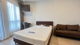 Condo for rent in The Tree Pattanakarn - Ekkamai, Suan Luang, Bangkok near Airport Rail Link Ramkhamhaeng