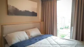 1 Bedroom Condo for rent in Whizdom Connect Sukhumvit, Bang Chak, Bangkok near BTS Punnawithi