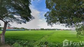 Land for sale in Ban Du, Chiang Rai