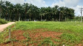 Land for sale in Sai Thai, Krabi