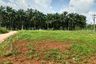 Land for sale in Sai Thai, Krabi