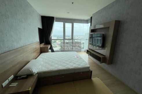 1 Bedroom Condo for rent in Phra Khanong, Bangkok near BTS On Nut