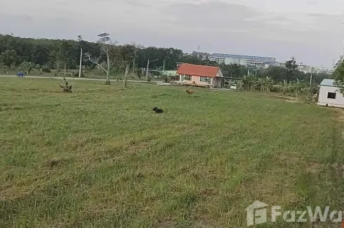 Land for sale in Mai Khao, Phuket