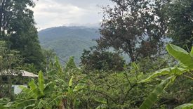 Land for sale in Chiangmai Lake Land, Suthep, Chiang Mai