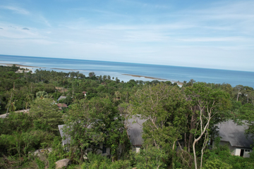 Land for sale in Maret, Surat Thani
