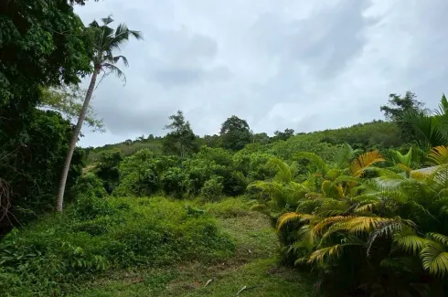 Land for sale in Bo Phut, Surat Thani