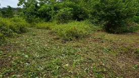 Land for sale in Bo Phut, Surat Thani