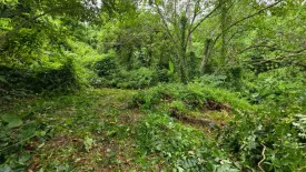 Land for sale in Bo Phut, Surat Thani