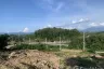 Land for sale in Na Tham Nuea, Trang