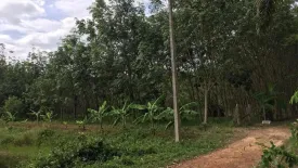 Land for sale in Ban Na, Rayong