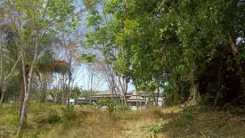 Land for sale in Choeng Thale, Phuket