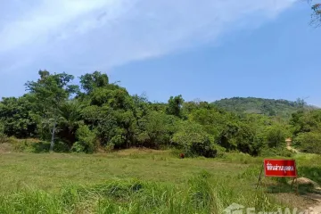 Land for sale in Choeng Thale, Phuket