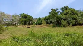 Land for sale in Choeng Thale, Phuket