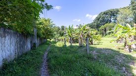 Land for sale in Sakhu, Phuket