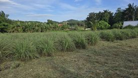 Land for sale in Sakhu, Phuket