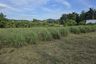 Land for sale in Sakhu, Phuket