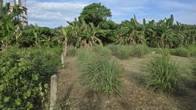 Land for sale in Sakhu, Phuket