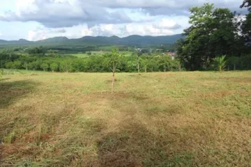 Land for sale in Na Din Dam, Loei