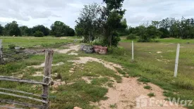 Land for sale in Thap Tai, Prachuap Khiri Khan