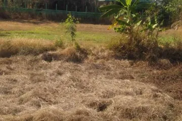 Land for sale in Khalamae, Surin