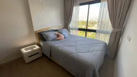 1 Bedroom Condo for rent in Dolce Lasalle, Bang Na, Bangkok near BTS Bang Na