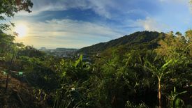 Land for sale in Karon, Phuket