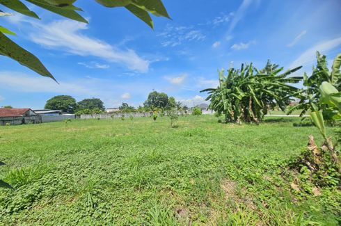 Land for sale in Nong Prue, Chonburi