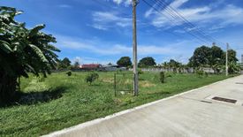 Land for sale in Nong Prue, Chonburi