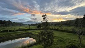 3 Bedroom House for rent in Huai Sai, Chiang Mai