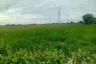 Land for sale in Don Pho, Lopburi