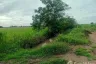 Land for sale in Don Pho, Lopburi