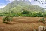 Land for sale in Chiang Dao, Chiang Mai