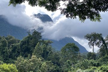 Land for sale in Chiang Dao, Chiang Mai