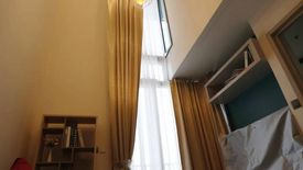 1 Bedroom Condo for rent in The Line sukhumvit 101, Bang Chak, Bangkok near BTS Punnawithi