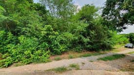 Land for sale in Sam Chuk, Suphan Buri